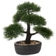 thumbnail image 1 of Árbol Bonsái Artificial Briful Junípero Verde de 36 cm para Decoración, 1 of 6
