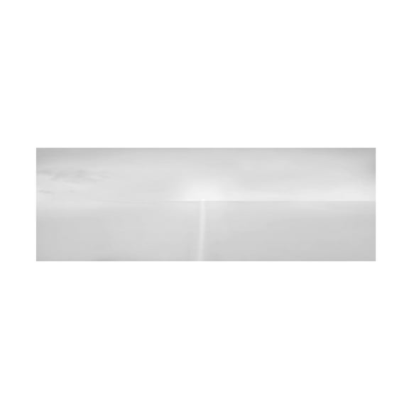 James McLoughlin 'Black and White Water Panel IV' Canvas Art