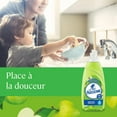 thumbnail image 4 of La Parisienne Green Apple Liquid Dish Soap, 4 of 5