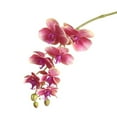 thumbnail image 2 of Phalaenopsis Artificial Orchid Plant Beautiful Addition to Living Room, 2 of 5