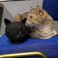 thumbnail image 4 of Mini Cat-Shaped Portable Bluetooth Speaker - Wireless Stereo Sound with Adorable Design, 4 of 4