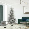 thumbnail image 5 of Vickerman 12' Flocked Sierra Fir Artificial Christmas Tree, Multi-Colored LED Dura-Lit lights, 5 of 6