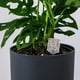thumbnail image 4 of 6 soportes para fertilizantes para macetas de orquídeas, cestas para flores, mini cestas para fertilizantes de plantación automáticas, 4 of 6