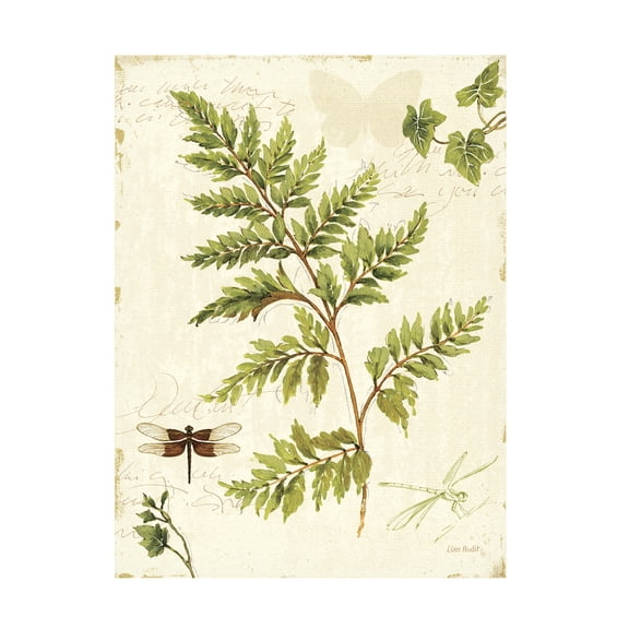 Trademark Fine Art Lisa Audit Ivies and Ferns I Canvas Wall Art - 14x19