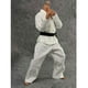 thumbnail image 4 of 4x1/6 Karate Judo Traje Entrenamiento Wu Shu Ropa Ajuste 12 figura De Acción, 4 of 8