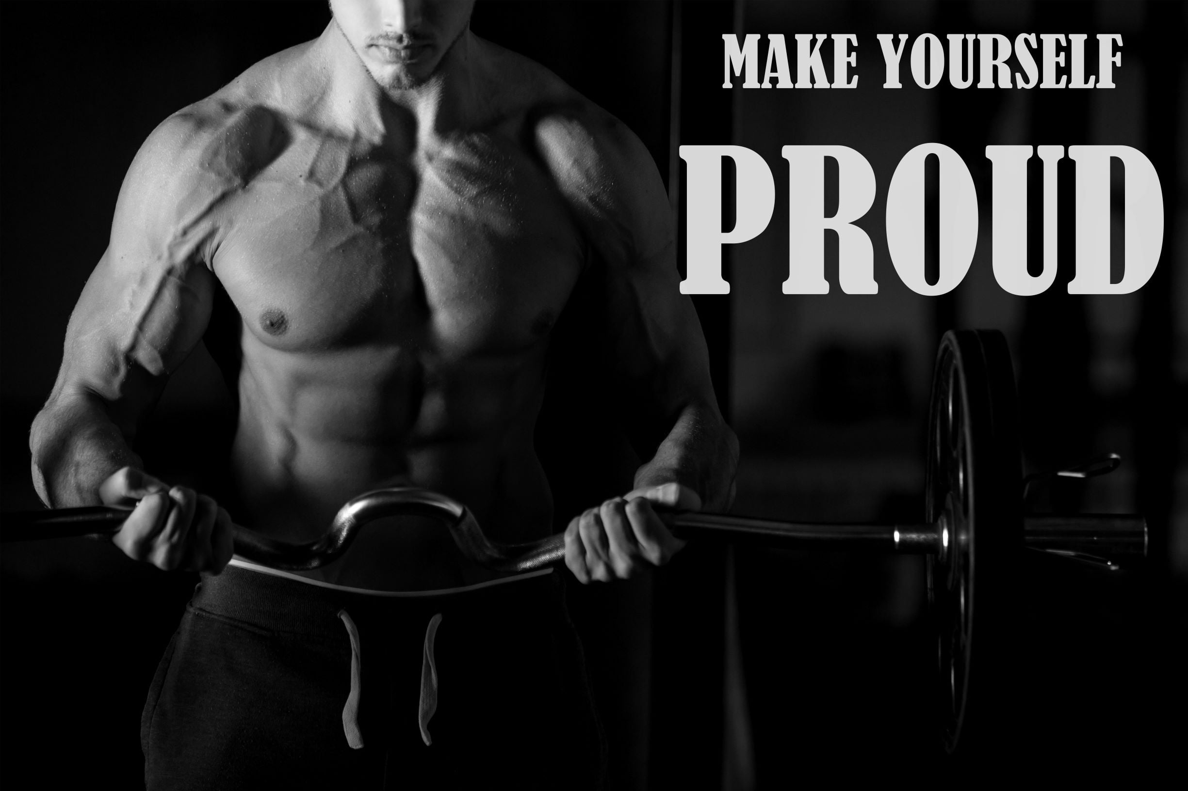BODYBUILDING POSTER GYM MUSCLES WORKOUT FITNESS  WALL ART PICTURE PRINT 