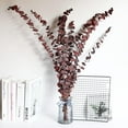 thumbnail image 6 of 20Pcs Dried Eucalyptus Bundle Fresh Eucalyptus for Shower -17 in Real Natural Preserved Eucalyptus Stems, Eucalyptus Stems Bulk for Home Decor Flower Arrangement Wedding Party - Red, 6 of 8