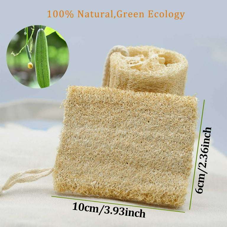 6 Pcs Organic Natural Loofah Sponge, Unbleached Luffa Eco-Friendly Shower  Exfoliating Scrubber for Adults Body Deep Clean and Skin Care In Spa Bath 