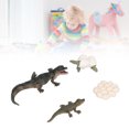 thumbnail image 3 of Modèle d'Uf Craquelé, Modèle de Cycle de Croissance Outil d'Apprentissage Biologique pour Enfants, 3 of 7
