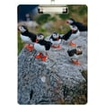 thumbnail image 1 of FMSHPON Puffin Friends Clipboard Hardboard Wood Nursing Clip Board and Pull for Standard A4 Letter 13x9 inches, 1 of 3