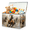 Color 2, variant on Jiaoprinted Panda Toy Storage Box Chest with Lid & Divider, Wildlife Foldable Toy Organizer Bin with Sturdy Handles for Nursery Living Room, 85L, 25"x13"x16"