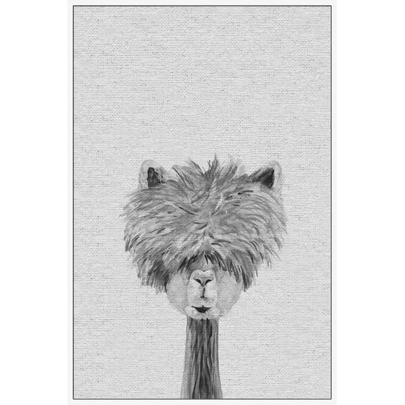 MARMONT HILL  - Handmade Bushy Haired Llama III Floater Framed Print on Canvas 12 x 18
