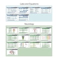 thumbnail image 4 of 76 Medical Reference Card Set - Medical Scrubnotes by Medical Basics - ID Badge Cards for med Students, Residents, NP, and PA, 4 of 6