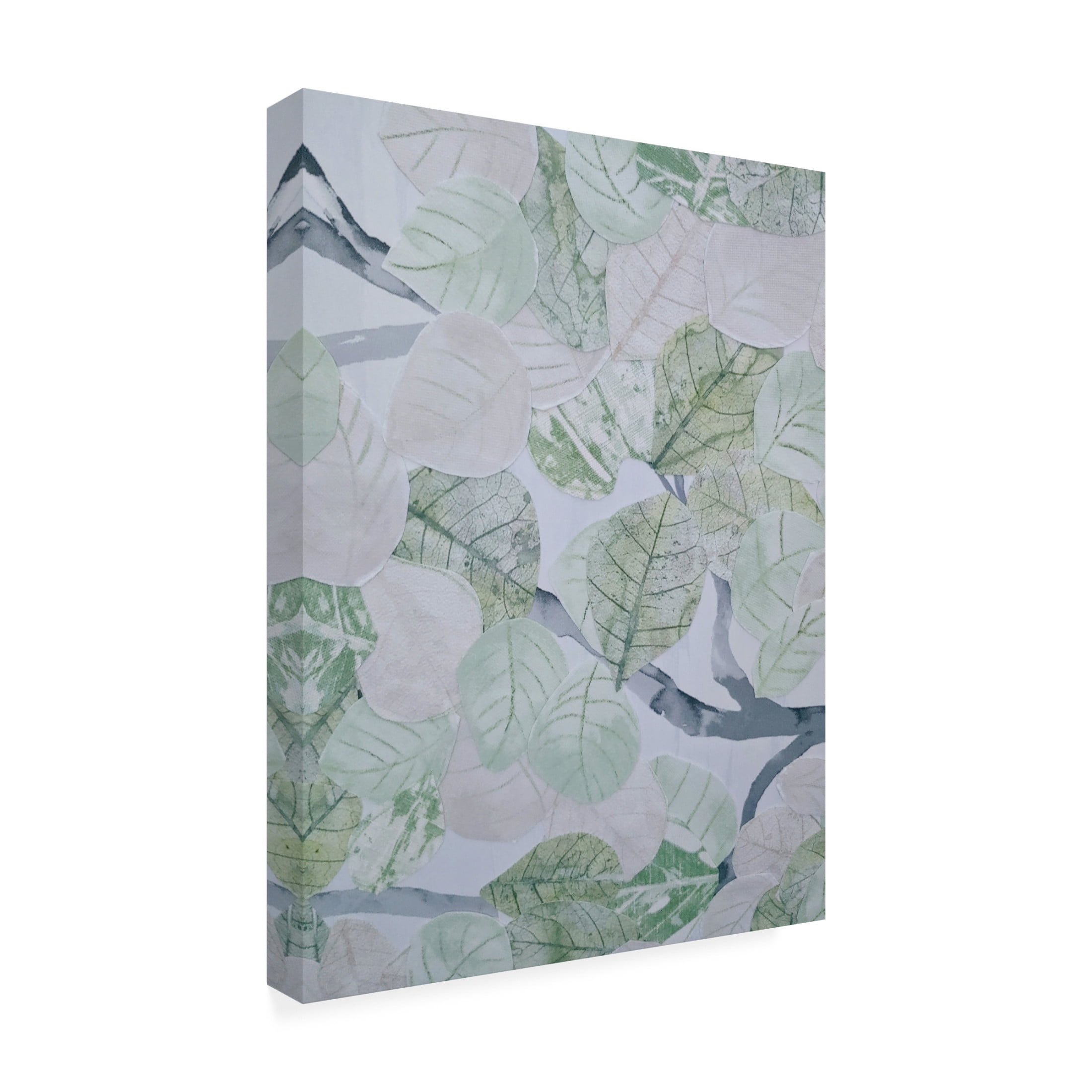 Trademark Fine Art Coco Good  Aspen Spring Leaves IV Canvas Wall Art