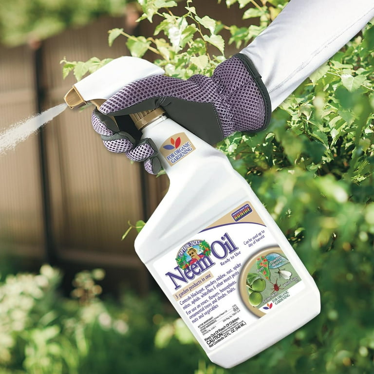 Bonide Captain Jack's 32 oz Neem Oil Organic Spray for Plants Indoors &  Outdoors