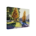 thumbnail image 2 of Trademark Fine Art 'Autumn Light Park' Canvas Art by Graham Gercke, 2 of 3