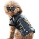 thumbnail image 4 of Abrigo de invierno para perros, chaqueta de moto de cuero Pu para perros, ropa para mascotas, chaqueta de cuero, impermeable Adepaton Ropa para Perro, 4 of 5