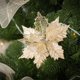 thumbnail image 2 of Decoración De Telas Adorno floral de tela color champán dorado de 20 cm con tallo de 15 cm para arreglos florales de árbol de Navidad y decoración de fiestas navideñas. Pieza única. Rkxzt, 2 of 8