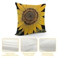 thumbnail image 4 of SHANXI  Summer  Pillow Covers  18x18in, 4 of 5