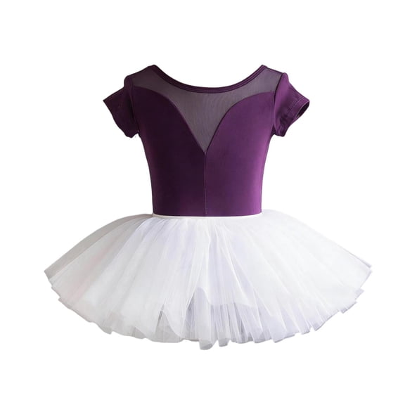 qucoqpe Girls Tulley Ballets Leotards Flowy Color-Blocked Crew Neck Short Sleeve Tutu Skirt Ballerina Outfit Gymnastics Dancewear Dresses for Kids