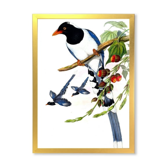 Designart 'Vintage Countryside Birds On Branch IV' Farmhouse Framed Art Print