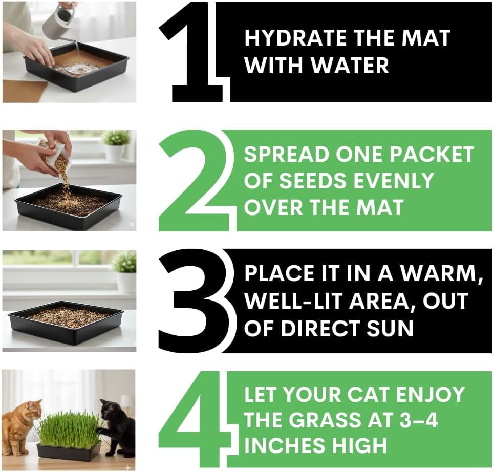 Cat Grass Growing Kit - Organic Seed, Jute Grow Mats, 10 x 10 Grow Container - Great for Indoor or Outdoor Cat, Dogs and Other Pets - TRAYS NOT INCLUDED (Refill 3X Jute & 3X Seed Packets)