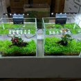 thumbnail image 5 of Ultra-Thin Aquarium LED Light Ultra Bright Clip-on Lighting Lamp 12 LEDs for Aquarium Fish Tank 5W, 5 of 5