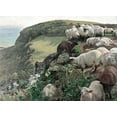 thumbnail image 2 of Hunt, William Holman 14x11 White Modern Wood Framed Museum Art Print Titled - Our English Coasts - Strayed Sheep, 2 of 4