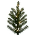 thumbnail image 2 of Vickerman 6.5' x 53" Bavarian Pine Artificial Pre-Lit Christmas Tree, Warm White Lights., 2 of 6