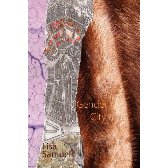 Gender City (Paperback)
