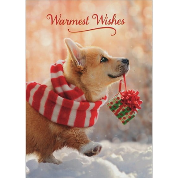Avanti Press Dog Wearing Red and White Striped Scarf and Carrying Small Gift Pack of 10 Christmas Cards