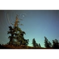 thumbnail image 2 of Star Trails North Star And Old Douglas Fir Tree Near Osoyoos British Columbia Canada Poster Print, 2 of 4