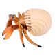 thumbnail image 4 of PVC Educational Ocean Animals Action Figure, Simulated Sea Animals Figurines Toys, Eco-friendly Developing Imagination For Cultivating Kids' Cognition, 4 of 8