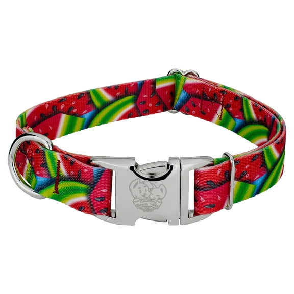 Country Brook Petz® Premium Summer Melon Dog Collar. Large