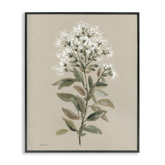 Stupell Industries Blooming Watercolor Flower Botanical & Floral Painting Black Framed Art Print Wall Art, 11 x 14