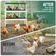 thumbnail image 5 of EuKer Nesting Boxes for Chickens, 6-Holes Metal Laying Boxes with Legs and Egg Collection Device, Green, 5 of 8