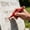 Red, variant on Emdiqzs Memorial Gifts Stone Repair Stone Touch Up Pen Permanent Paint Marker Grave Marker Repair Tool for Memorial Headstone Restoration Stone Marking Black Red Gold Silver