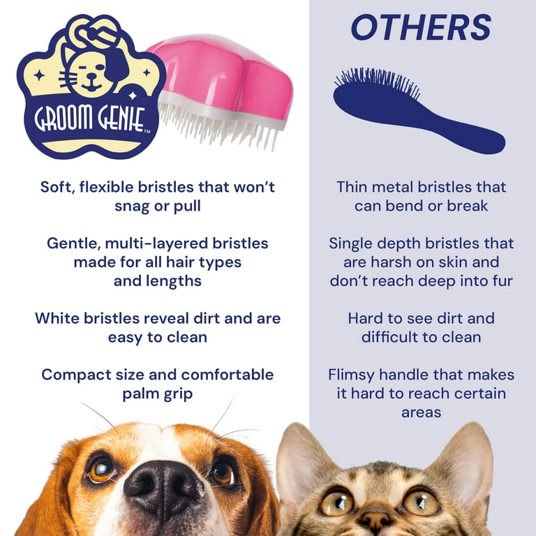 Why is It So Hard to Find a Cat Groomer: Expert Tips Revealed