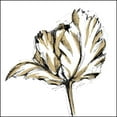 thumbnail image 3 of Harper, Ethan 20x20 Black Modern Framed Museum Art Print Titled - Tulip Sketch III, 3 of 5