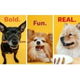 thumbnail image 3 of Oinkies Chickentastic Tender Bullies 18pk, 3 of 6