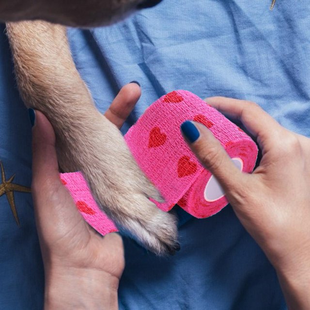 Rose Red Heart Rolls Vendajes Prácticas cintas elásticas para heridas para mascotas Animal (M)
