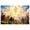 Color 4, variant on 8 Pack Art Acoustic Panels Sound Absorbing Radiant Christ Figure Emerging from Dramatic Clouds Golden Decorative Soundproof Wall Panels Self Adhesive for Recording Studios Office 48"x32"
