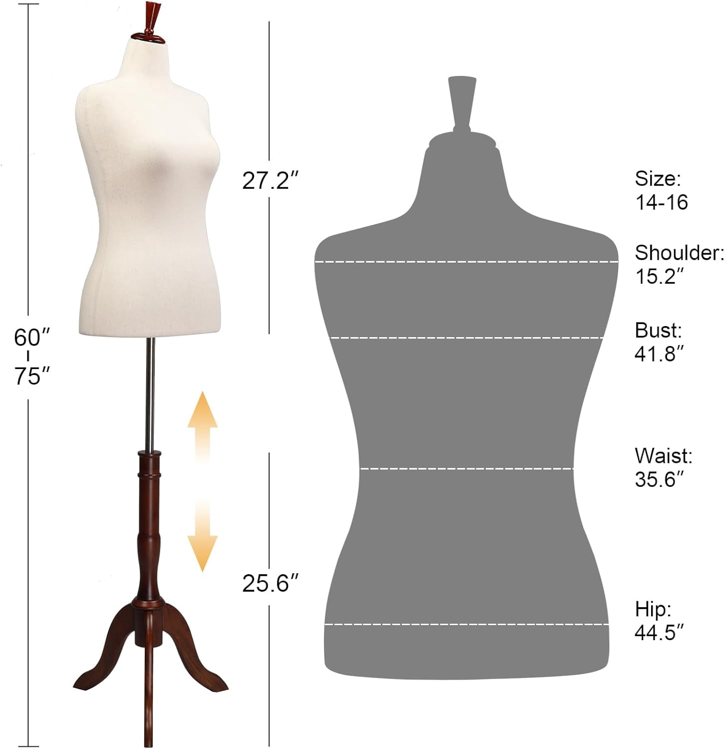 Female Dress Form Size 10-12, Adjustable Height Torso Body with Upgraded Tripod Stand, Medium Size Mannequin for Sewing and Display (10-12, Cream1)