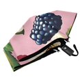 thumbnail image 6 of FORMRS Travel Umbrella Folding Auto Open Close Windproof Rain UV Protection, Pink Raspberries, 6 of 8