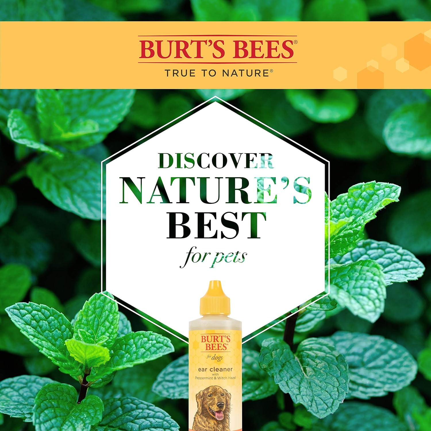 Burt's Bees Peppermint Ear Cleaner for Dogs, 4 Ounces