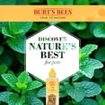 thumbnail image 3 of Burt's Bees Peppermint Ear Cleaner for Dogs, 4 Ounces, 3 of 9