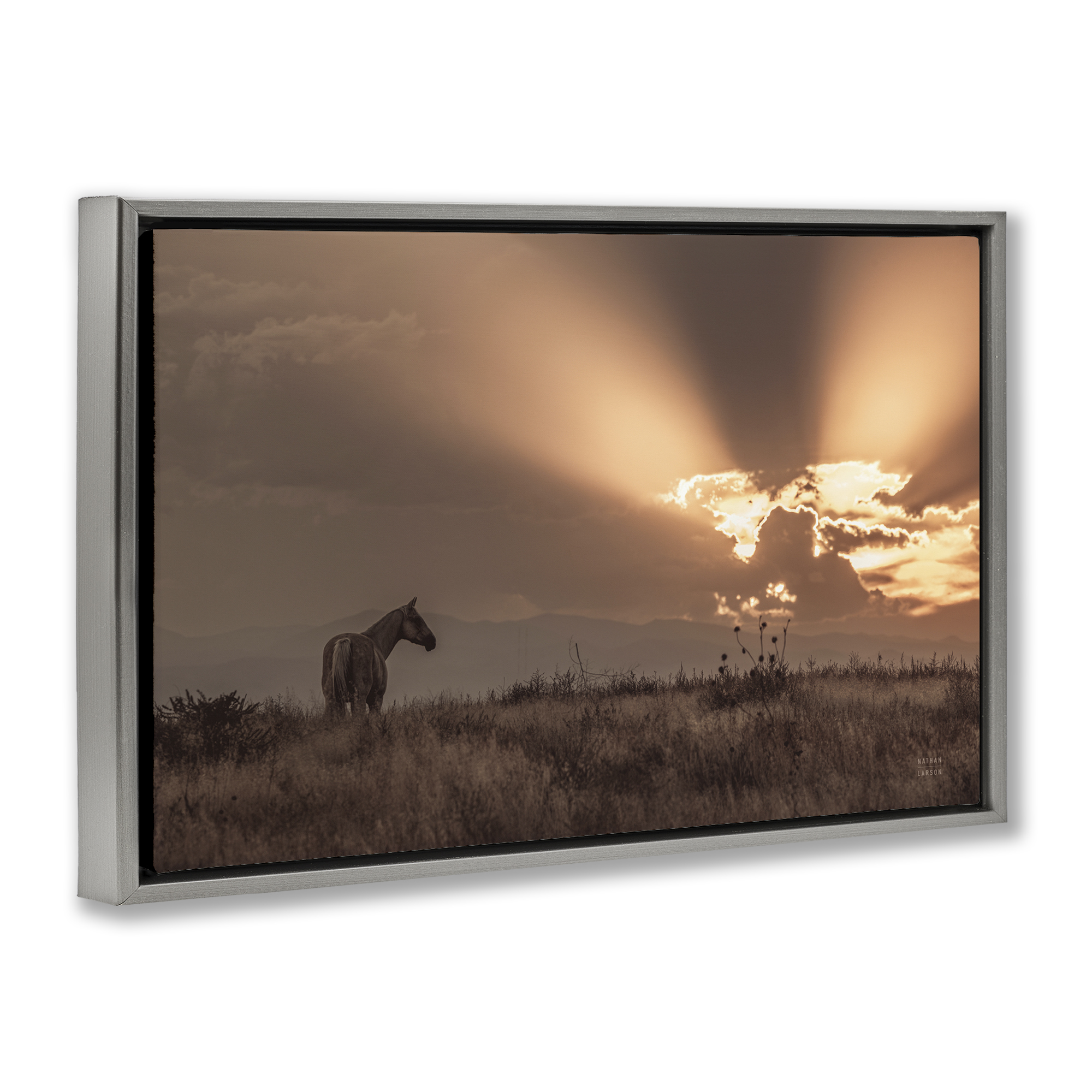 Stupell Industries Faded Sunset with Horse Landscape & Nature Photography Gray Floater Framed Canvas Art Print Wall Art, 31 x 21