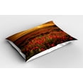 thumbnail image 2 of Ambesonne Poppy Flower Pillow Sham 2 Pack, Sunset Meadow Farmland, 26"x20", Marigold Scarlet, 2 of 3