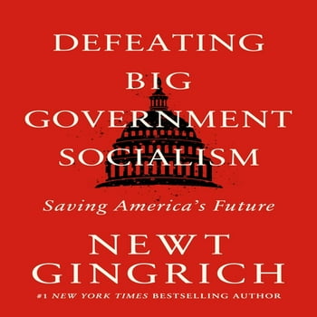 Defeating Big Government Som : Saving America's Future (Hardcover)