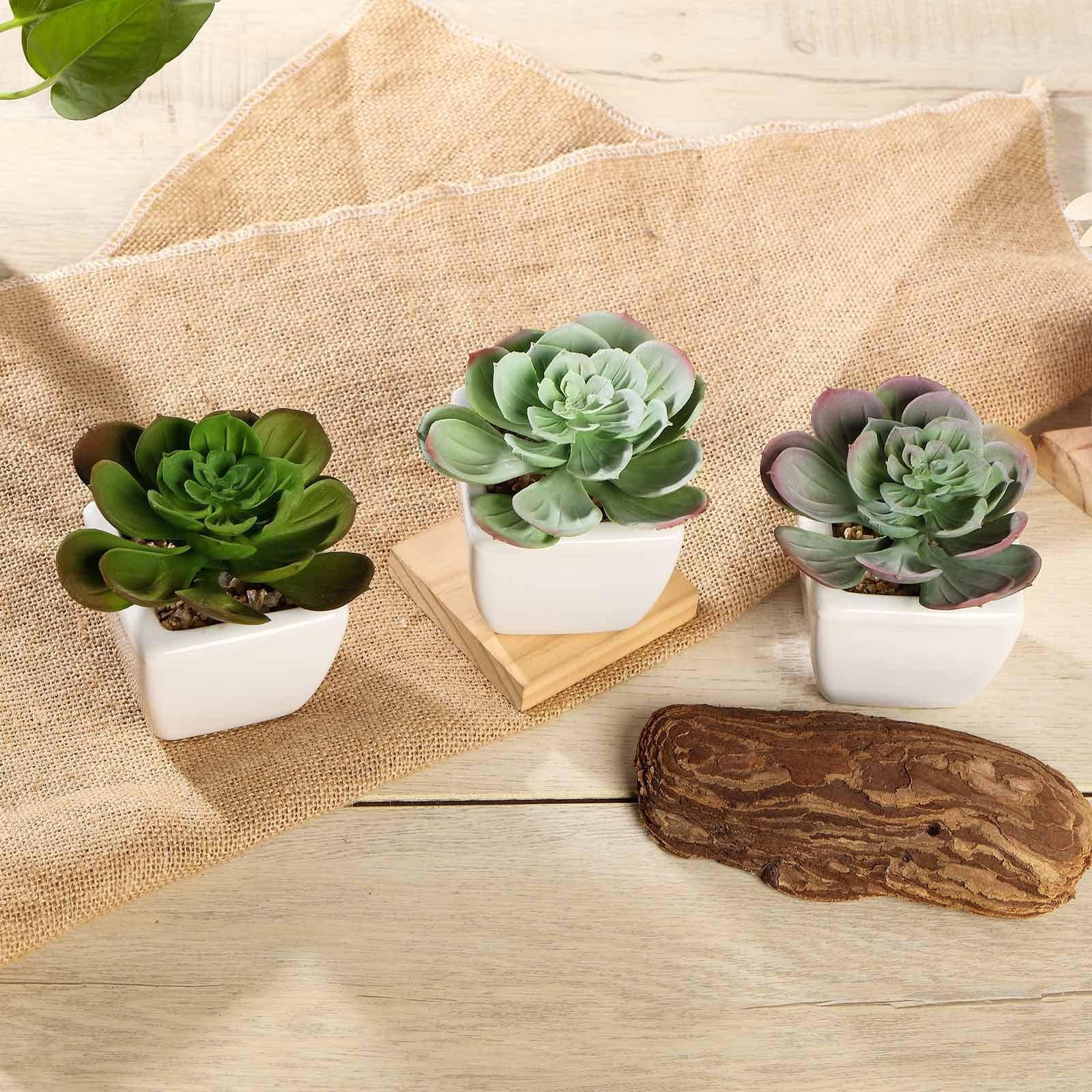 Set of 3 Assorted Fake Succulents in Pot 4" Assorted Echeveria Artificial Plants with Pots